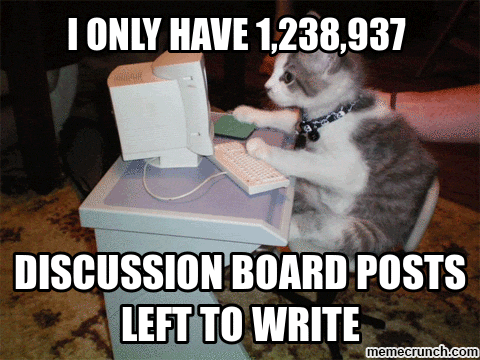 discussion board cat meme